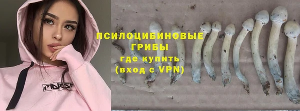 a pvp Аркадак