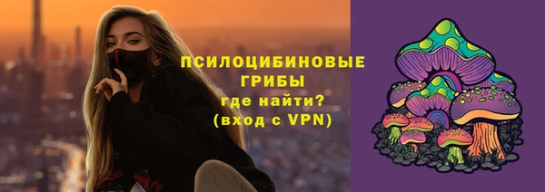 прущая мука Арсеньев