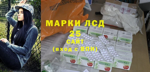 индика Балахна