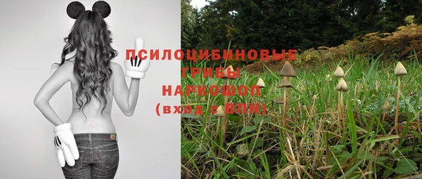 метадон Баксан