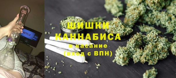 индика Балахна